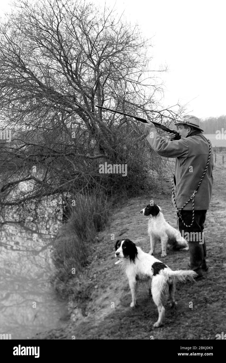 France, Indre et Loire, Vernou sur Brenne, chasse au canard à Vuitonnière, zone de chasse à Boisne Banque D'Images