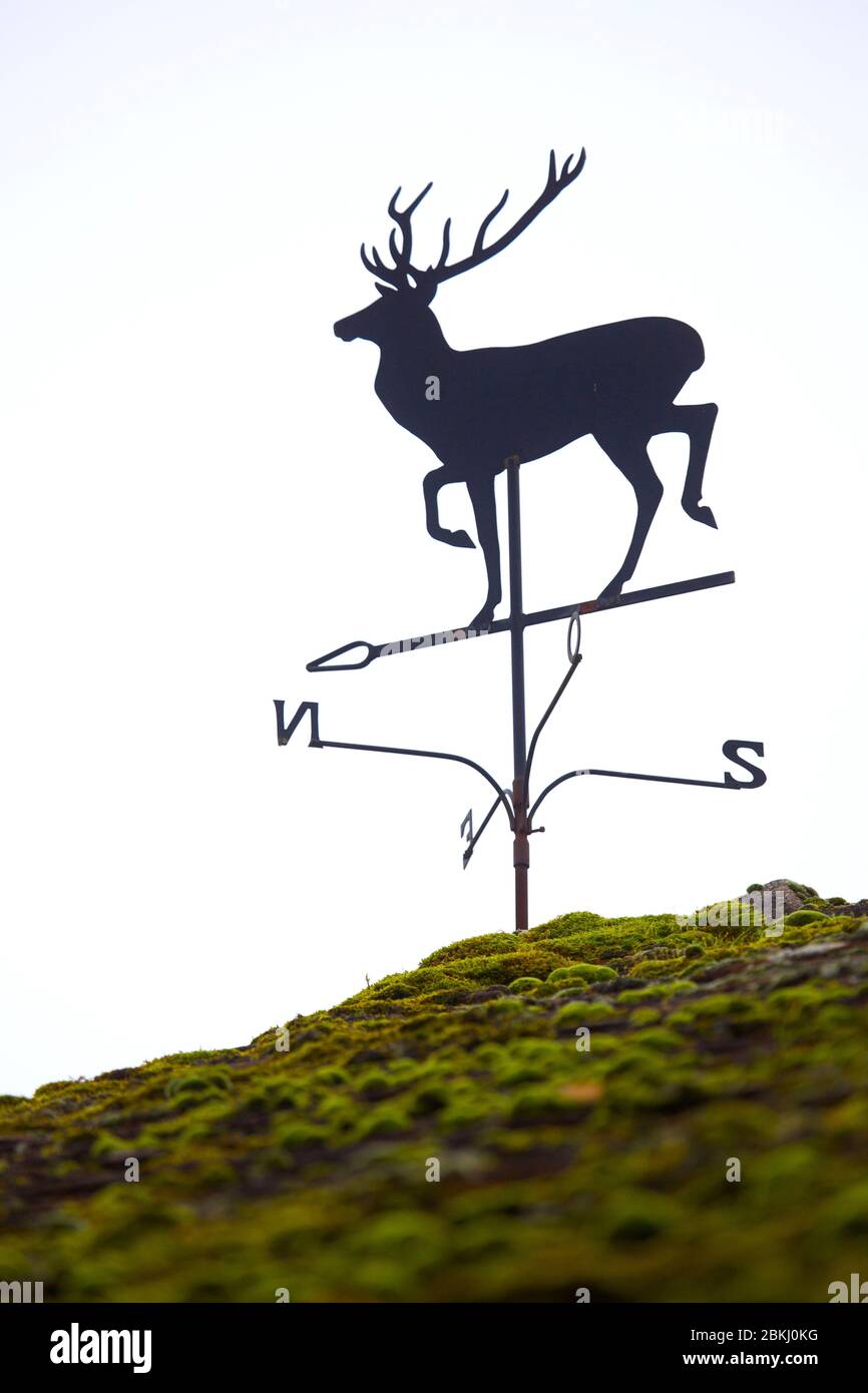 France, Indre et Loire, Vernou sur Brenne, weathervane à la Vuitonnière, domaine de chasse Banque D'Images