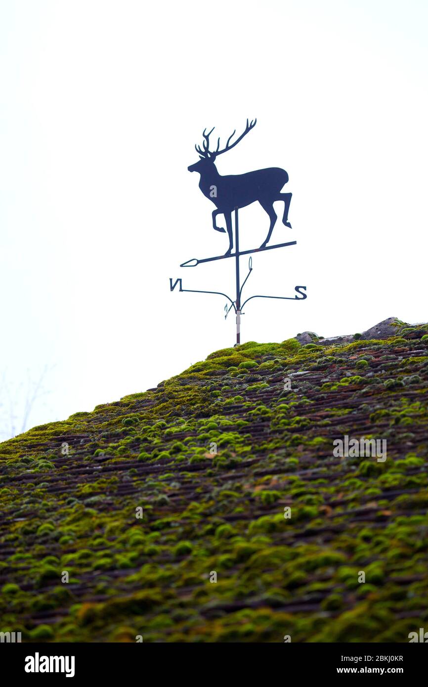 France, Indre et Loire, Vernou sur Brenne, weathervane à la Vuitonnière, domaine de chasse Banque D'Images