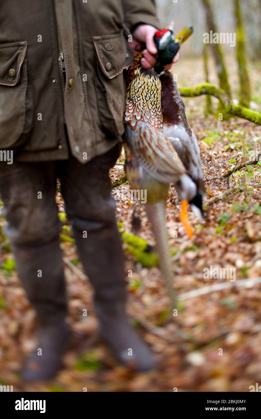 France, Indre et Loire, Vernou sur Brenne, journée de chasse à Vuitonnière, domaine de chasse Banque D'Images
