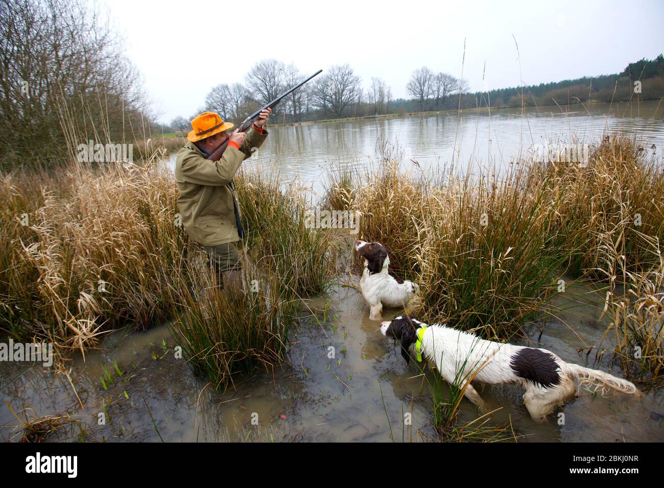 France, Indre et Loire, Vernou sur Brenne, chasse au canard à Vuitonnière, zone de chasse à Boisne Banque D'Images