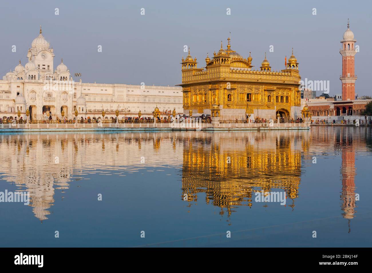 Inde, État du Pendjab, Amritsar, Harmandir Sahib, Temple d'or sous le soleil, avec réflexion dans le bassin du Nectar, Amrit Sarovar, lieu Saint du sikhisme Banque D'Images