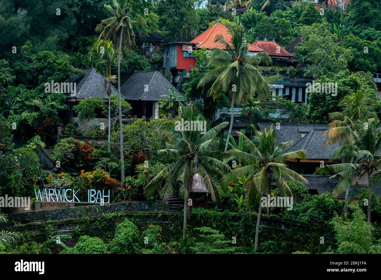 Photo paysage d'Ubud, île de Bali. Banque D'Images