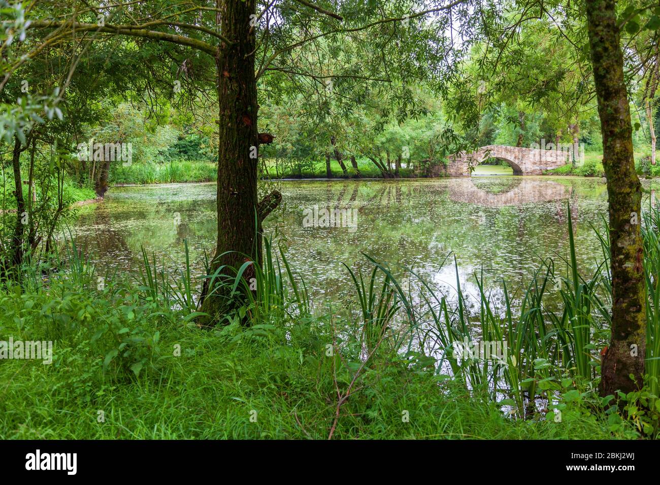 France, Maine et Loire, vallée de la Loire classée au patrimoine mondial par l'UNESCO, Chalonnes-sur-Loire, l'île inférieure sur la route du cycle de la Loire Banque D'Images