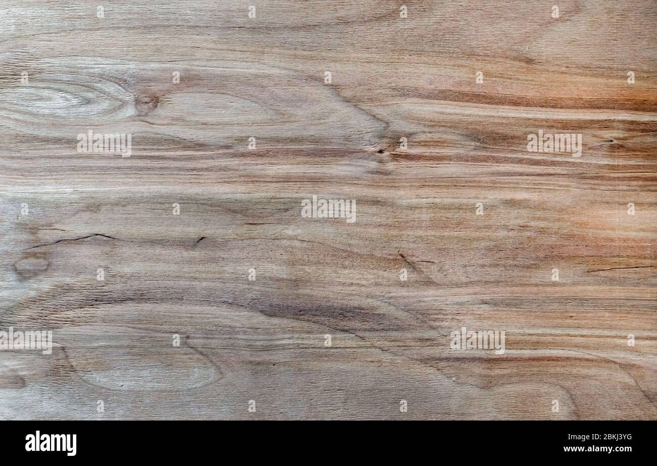 Panneaux de texture. Fond de bois à partir de la feuille de contreplaqué. Banque D'Images