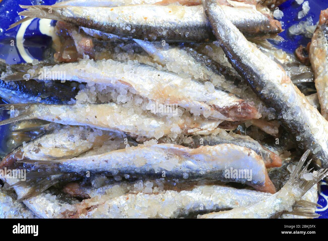Espagne, Catalogne, Alt Empordà, Costa Brava, Cadaqués, préparation du salting des anchois Banque D'Images