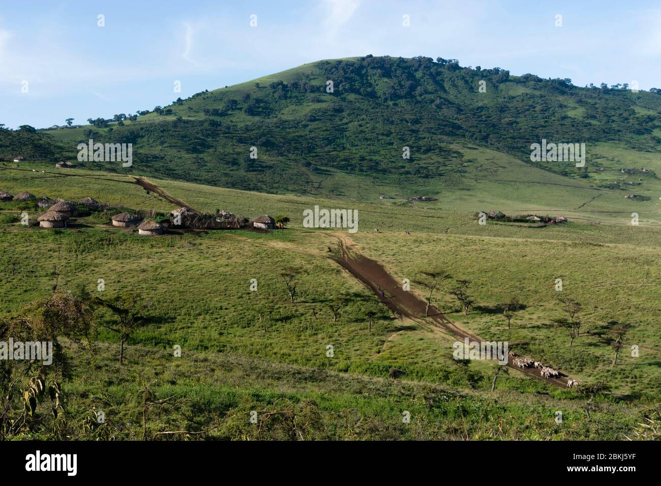 Un village de Masai dans la zone de conservation de Ngorongoro, Serengeti, Tanzanie Banque D'Images