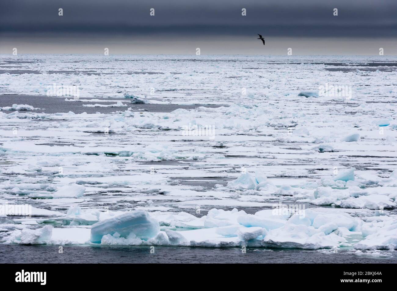 Calotte glaciaire polaire, 81 au nord de Spitsbergen, Norvège Banque D'Images