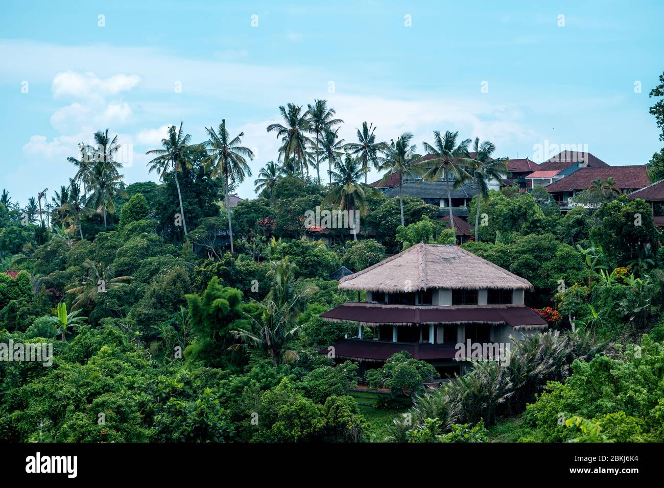 Photo paysage d'Ubud, île de Bali. Banque D'Images