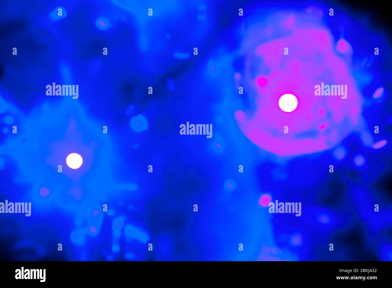 Trous blancs et roses tous sur fond bleu et rose tout flou Banque D'Images