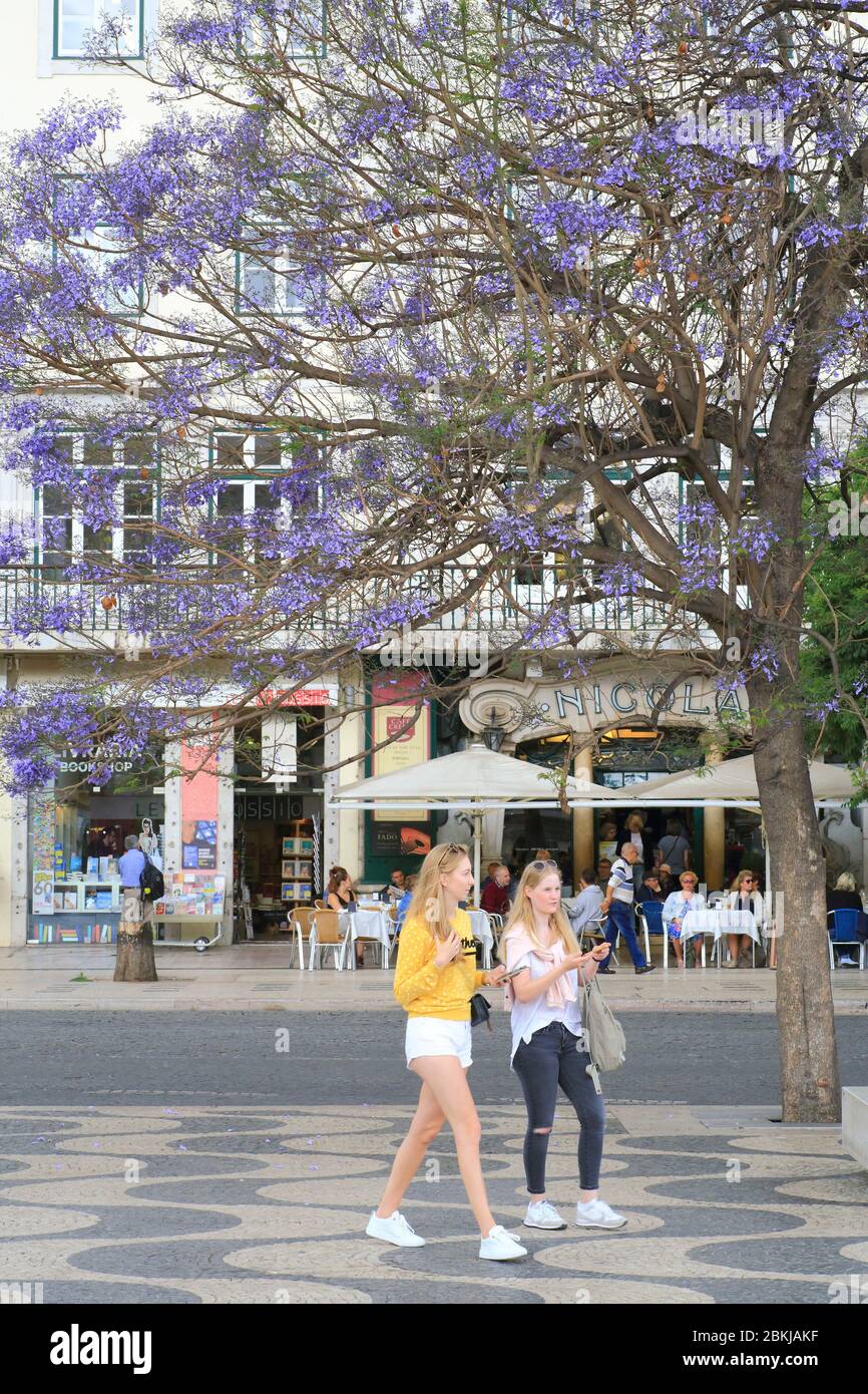 Portugal, Lisbonne, Baixa, Rossio ou place Don Pedro IV (Praça de D. Pedro IV), jacaranda en fleur avec la terrasse du café Nicola (1929) Banque D'Images