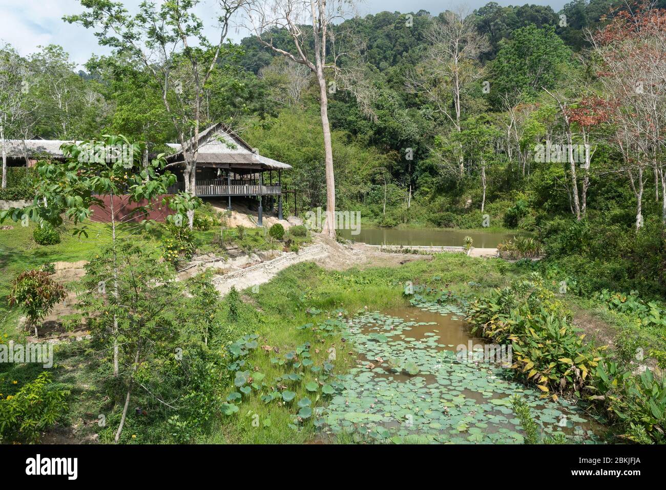 Thaïlande, Province de Phuket, Phuket Elephant Sanctuary Banque D'Images