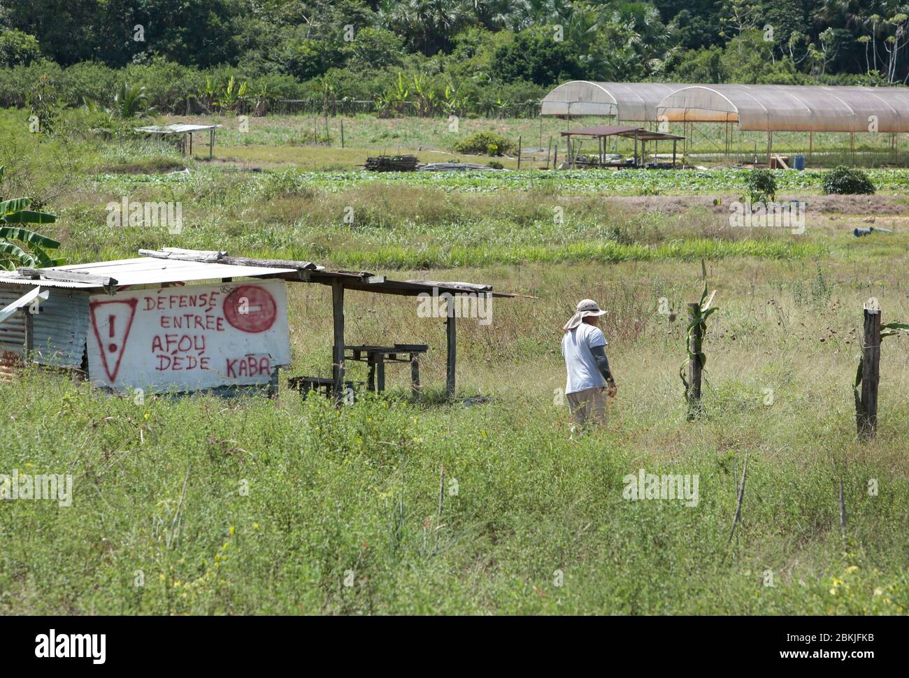 France, Guyane, Javouhey, agriculteurs de Hmong au travail Banque D'Images