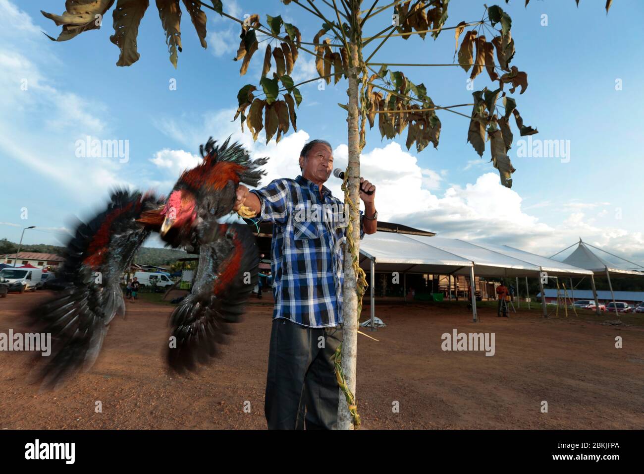 France, Guyane, cacao, Hmong nouvel an Banque D'Images