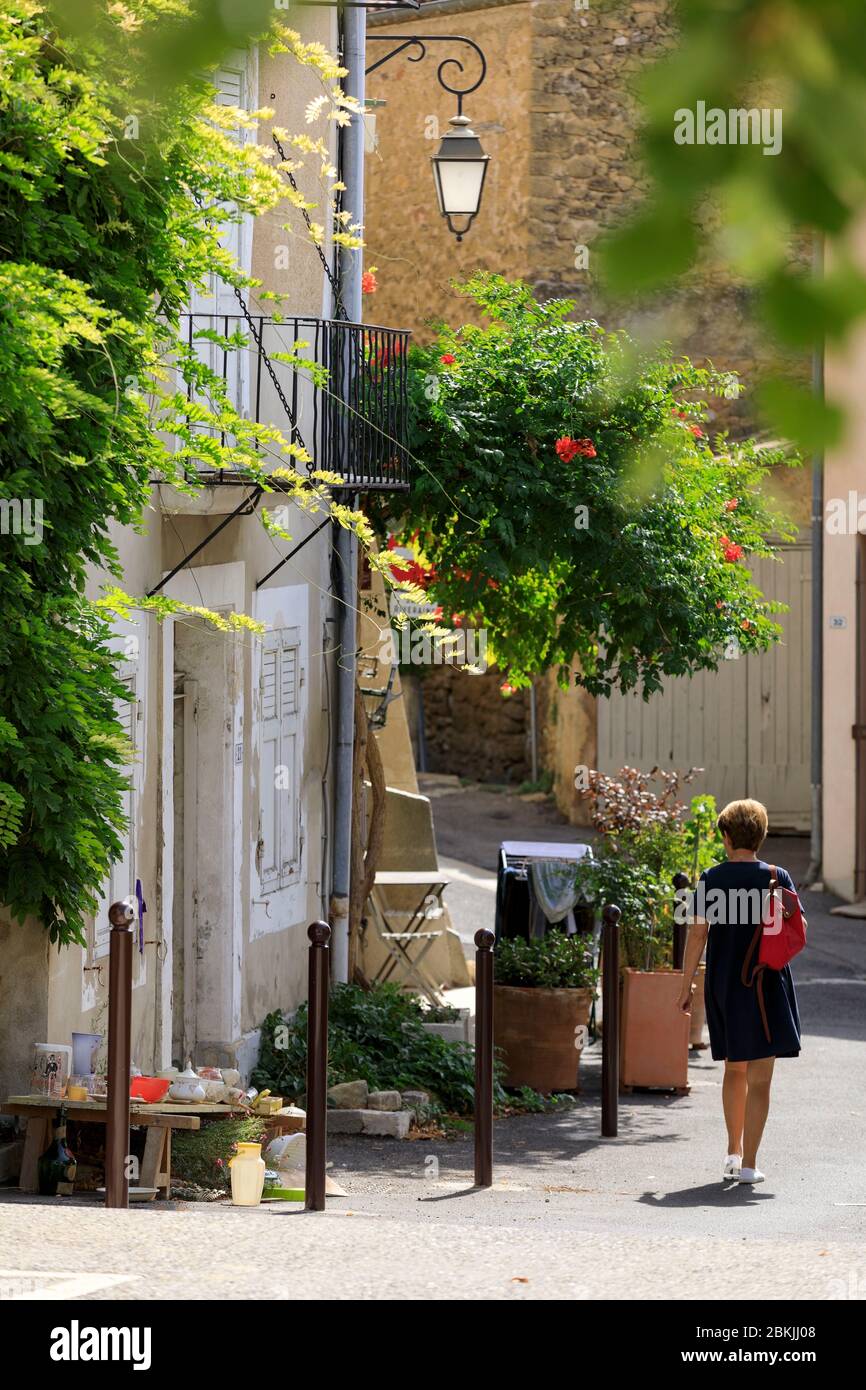 France, Vaucluse, Luberon, parc naturel régional du Luberon, Vauines Banque D'Images