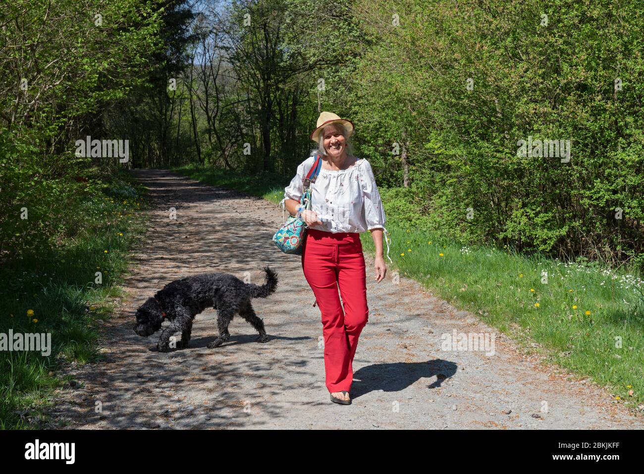 Europe, Luxembourg, Insenborn, femme âgée attrayante marchant son chien d'eau portugais Banque D'Images