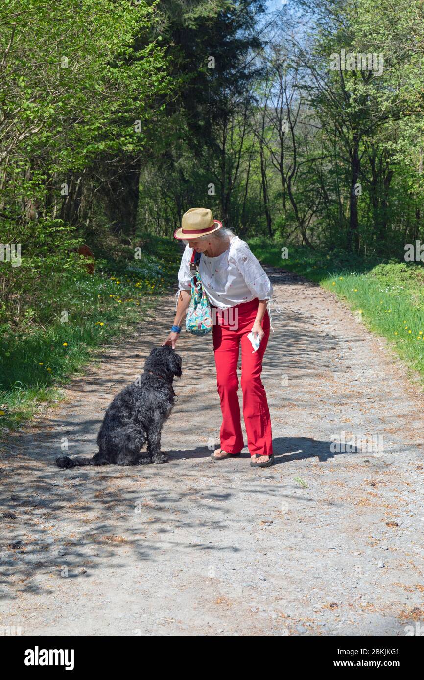 Europe, Luxembourg, Insenborn, femme âgée attrayante marchant son chien d'eau portugais Banque D'Images