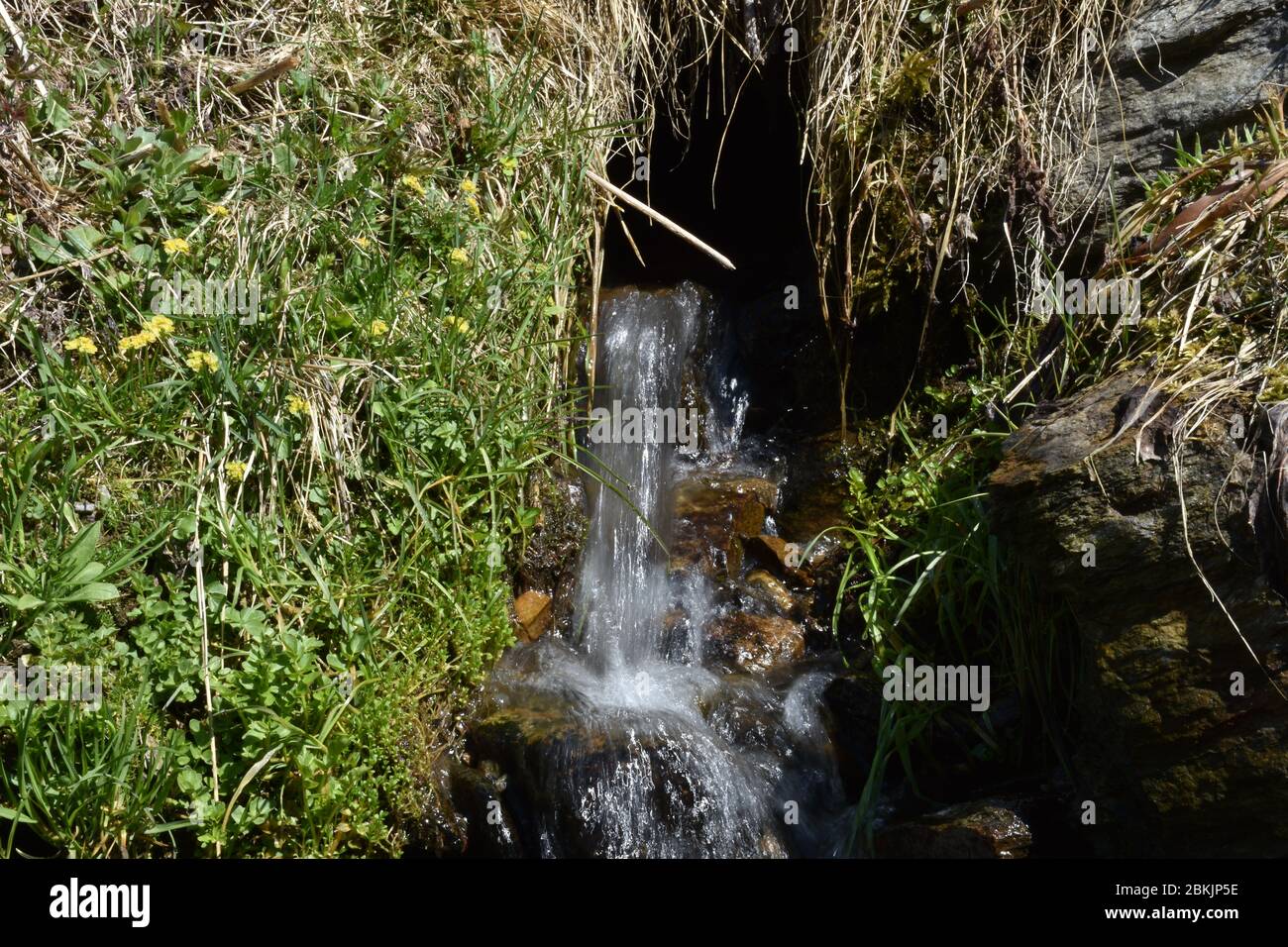 Osttirol, Villgraten, Innervillgraten, Villgratental, Lienz, Pustertal, Arntal, Lahnberg, Steinwand, Bach, Gebirgsbach, fließen, stein, Bachbett, Rinn Banque D'Images