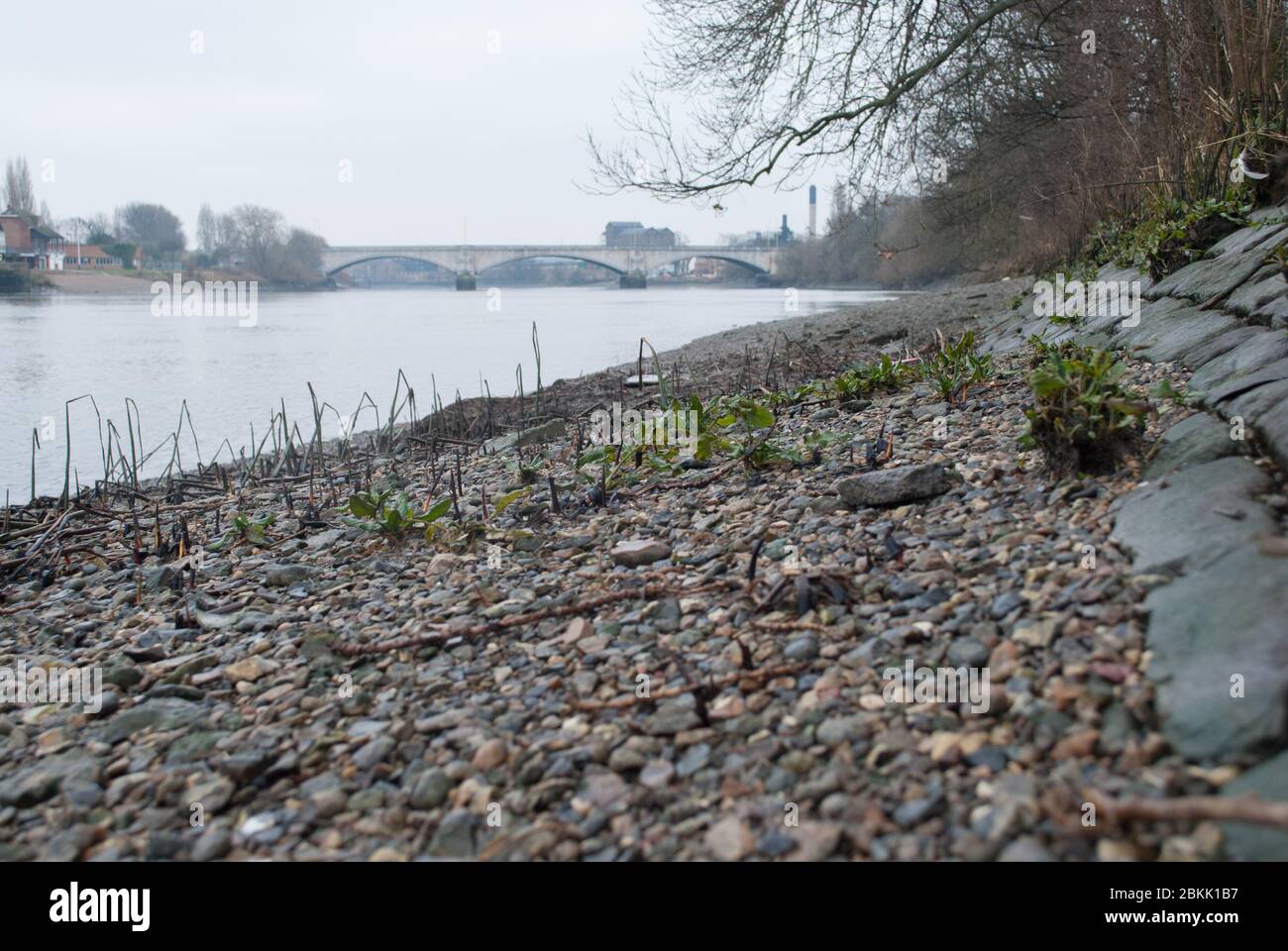 Pierres de bardeaux sur le lit de la rivière sur le sentier de la Tamise Teddington à Kew, Richmond, Londres Banque D'Images