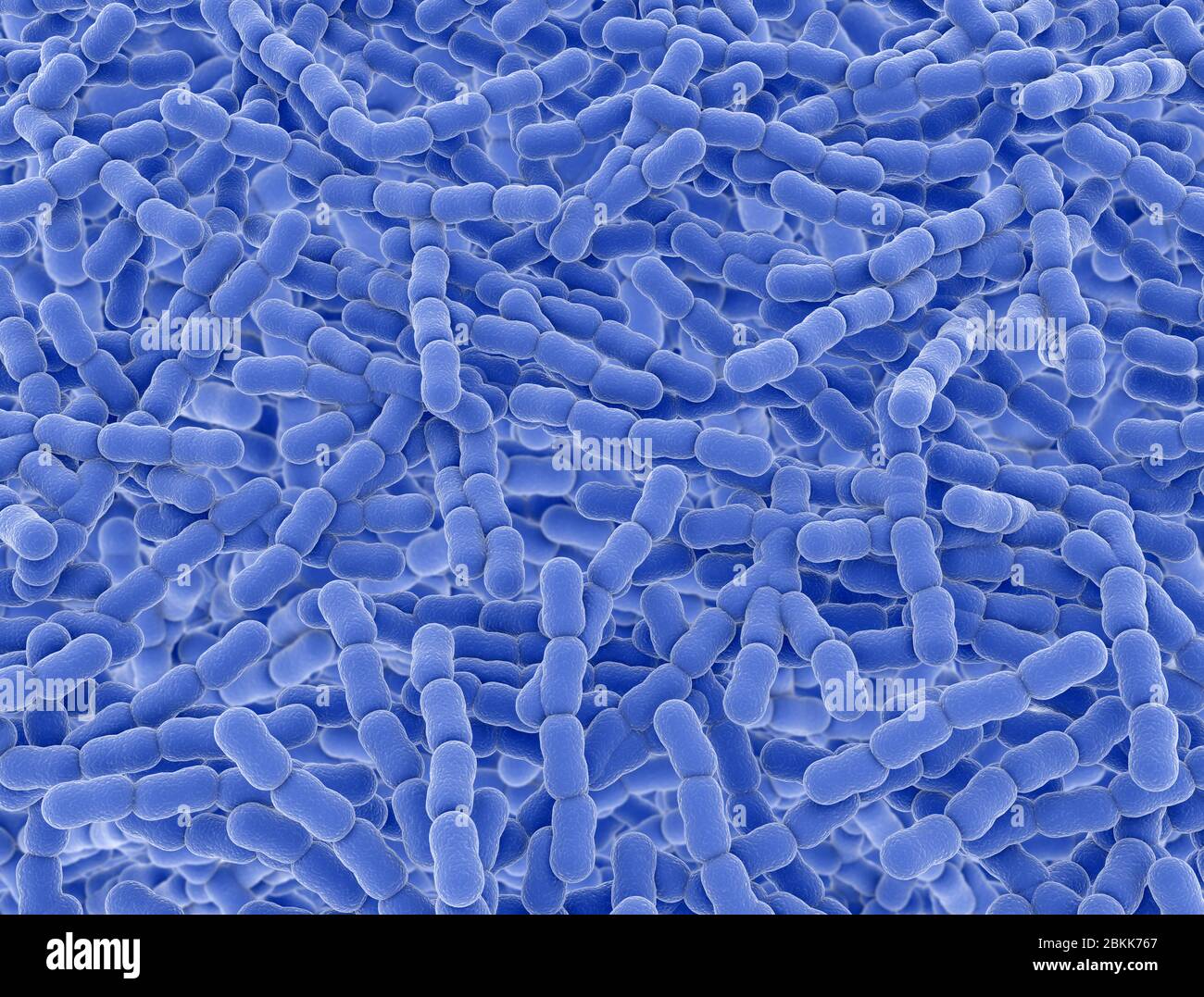 Cellules bactériennes de Streptococcus pneumonies. Arrière-plan de rendu microscopique Banque D'Images