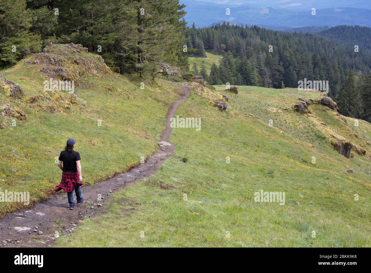 Un homme qui marche seul à Horse Rock Ridge près de Crawfordsville, Oregon, États-Unis. Banque D'Images