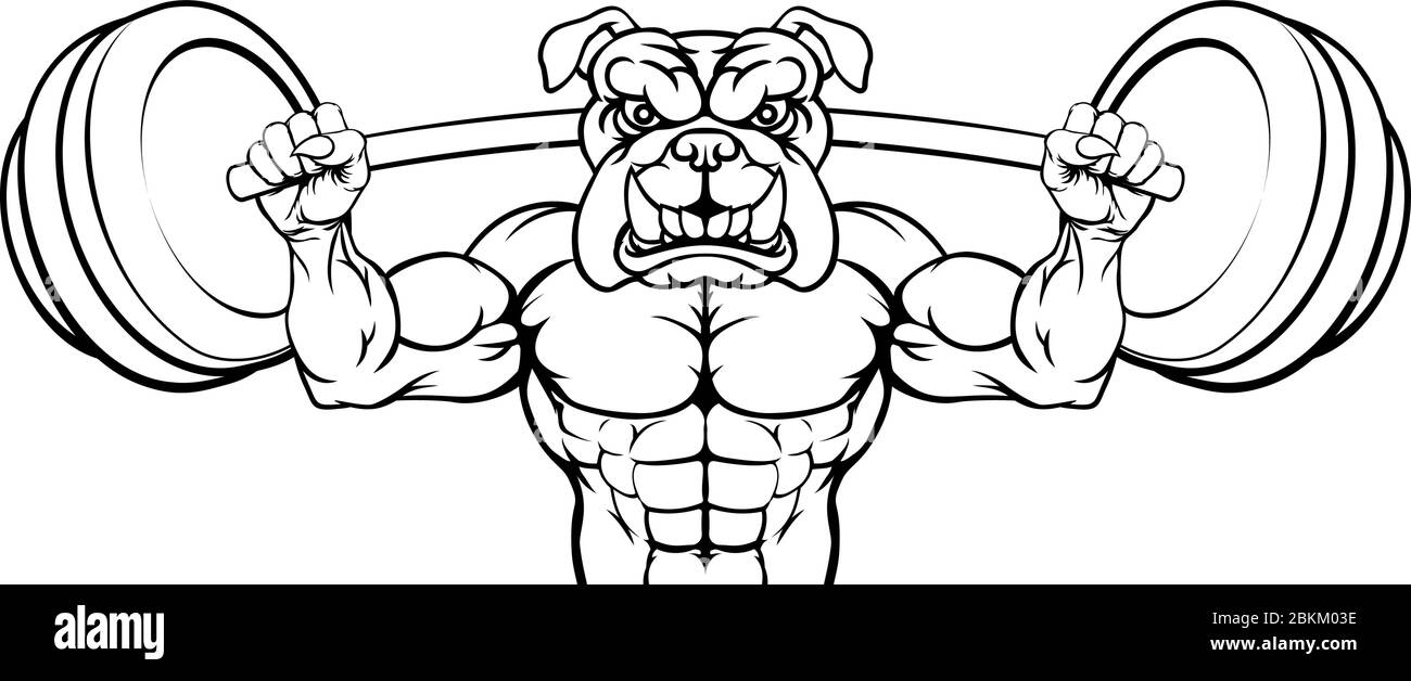 Mascotte Bulldog le levage de poids Body Builder Illustration de Vecteur