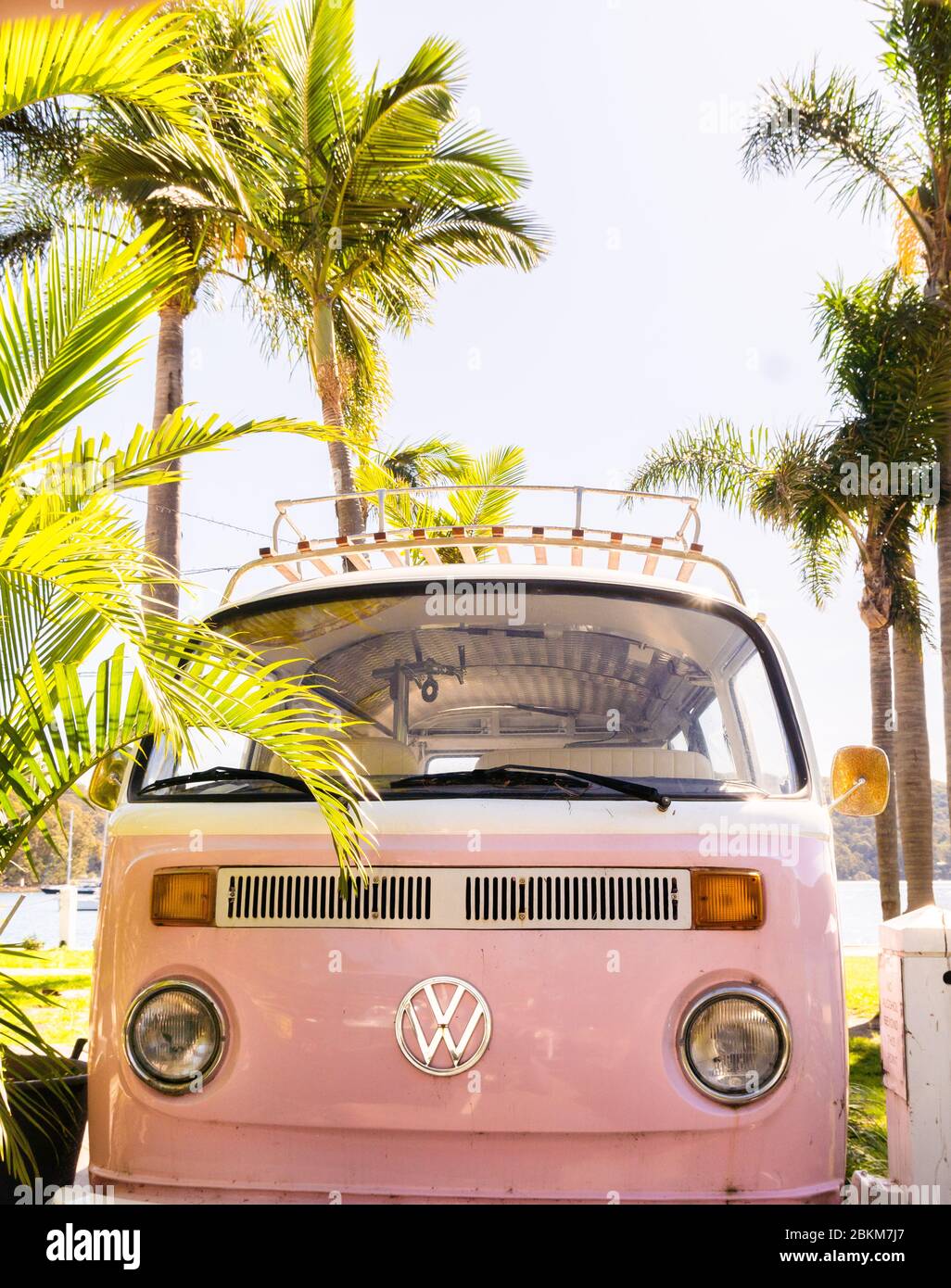 Un campervan rose VW garé à côté des palmiers Photo Stock - Alamy