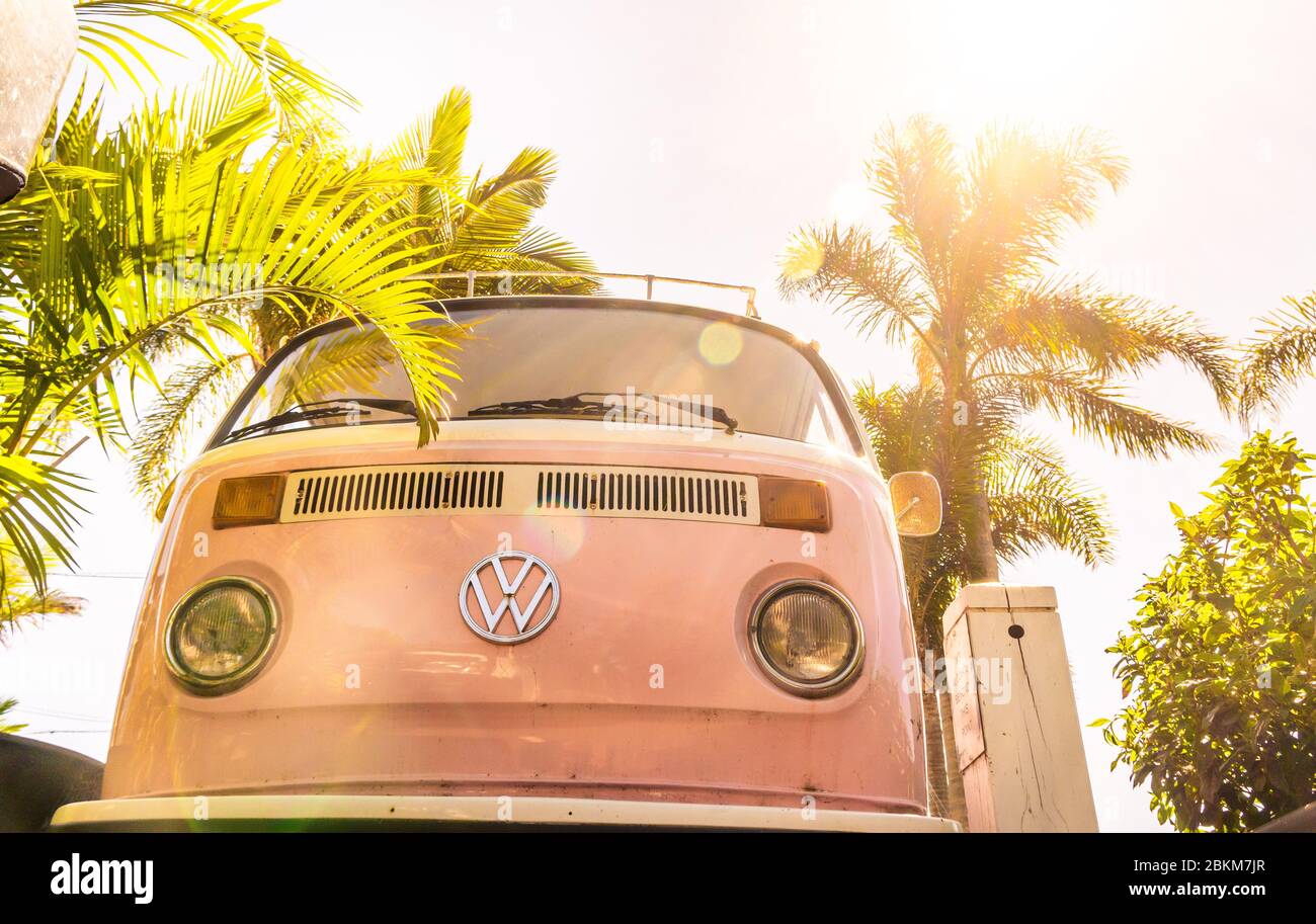 Un campervan rose VW garé à côté des palmiers Banque D'Images