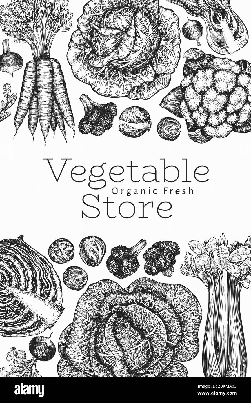 Dessin dessiné à la main légumes design. Modèle de bannière vectorielle d'aliments frais biologiques. Arrière-plan rétro de légumes. Illustrations botaniques gravées. Illustration de Vecteur