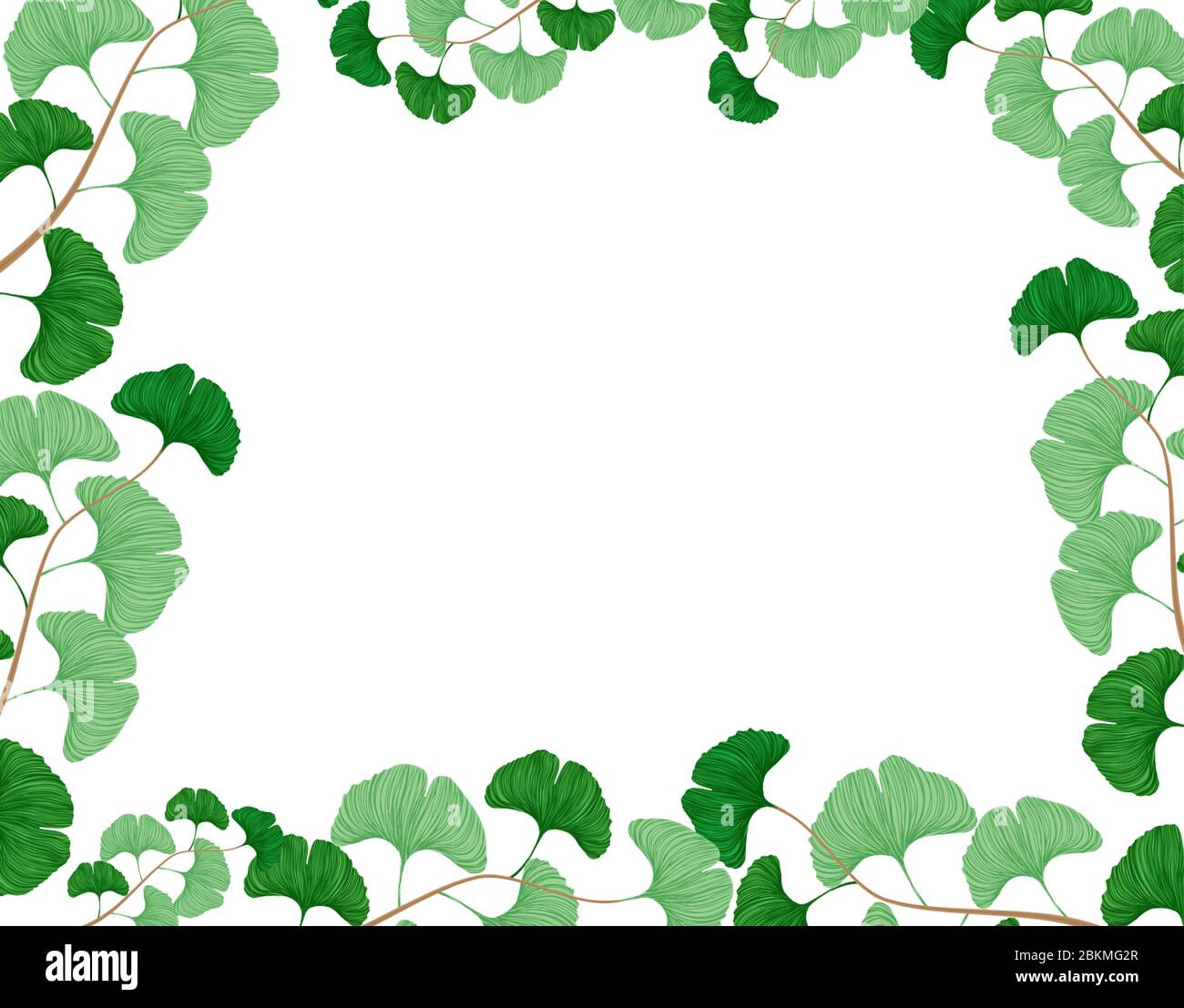 Cadre en feuilles de Ginkgo biloba, illustration vectorielle Illustration de Vecteur
