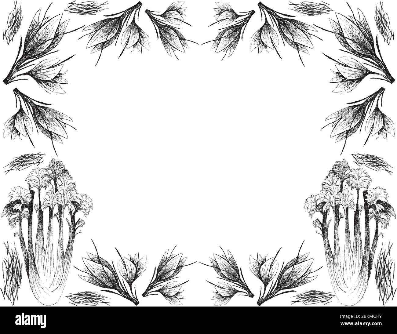 Plantes à base de plantes, Illustration de croquis dessiné à la main délicieux vert frais Apium Graveolens ou céleri avec cadre de fleurs de Saffron. Illustration de Vecteur