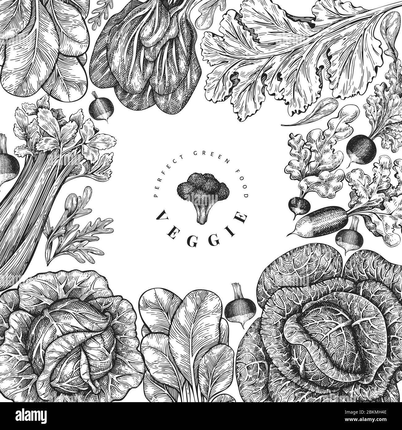 Dessin dessiné à la main légumes design. Modèle de bannière vectorielle d'aliments frais biologiques. Arrière-plan rétro de légumes. Illustrations botaniques gravées. Illustration de Vecteur