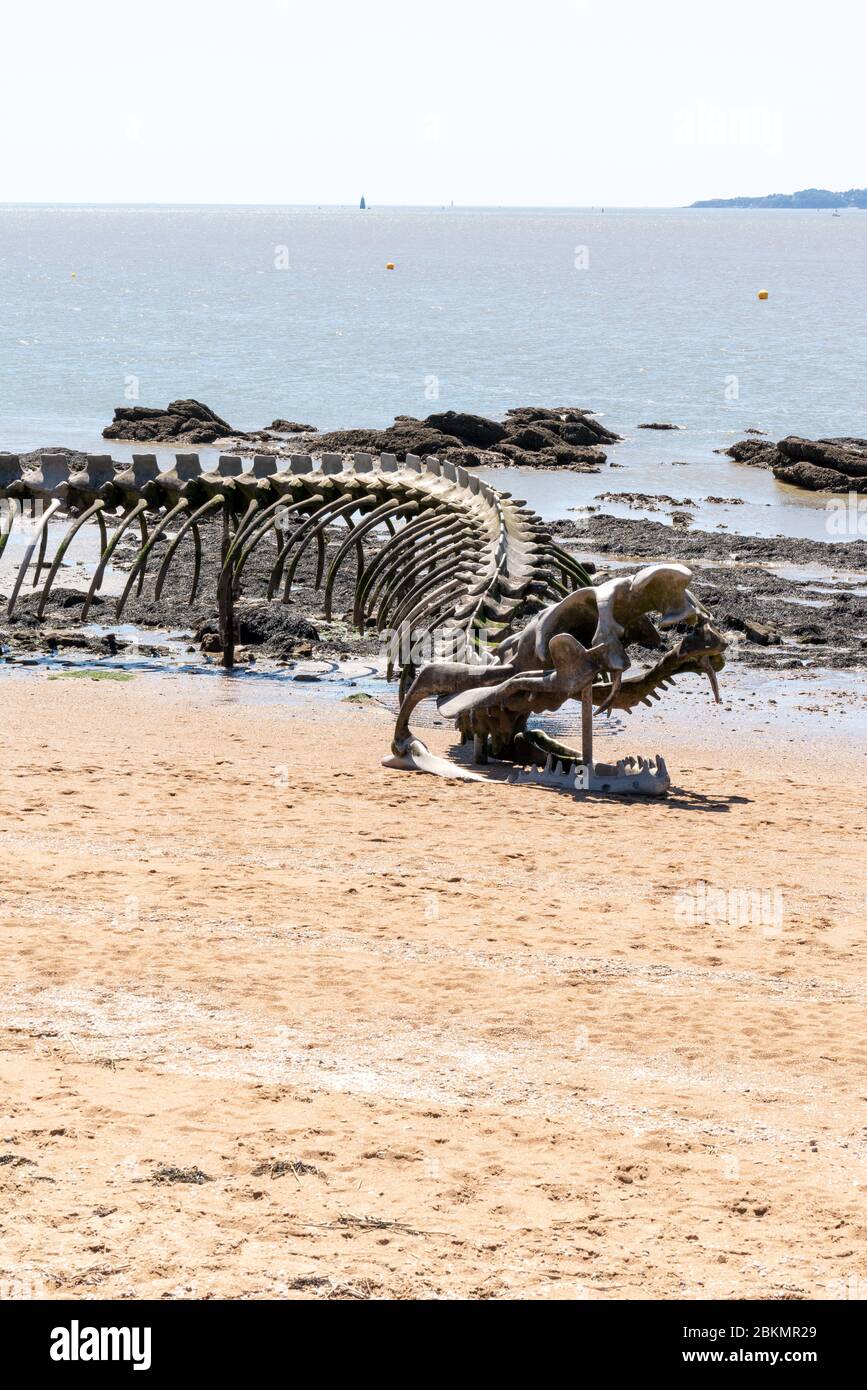 Saint-Brévin , Aquitaine / France - 04 26 2020 : l'art du serpent d'océan géant à Saint-Brevin les Pins plage de sable attraction sur la côte atlantique française Banque D'Images