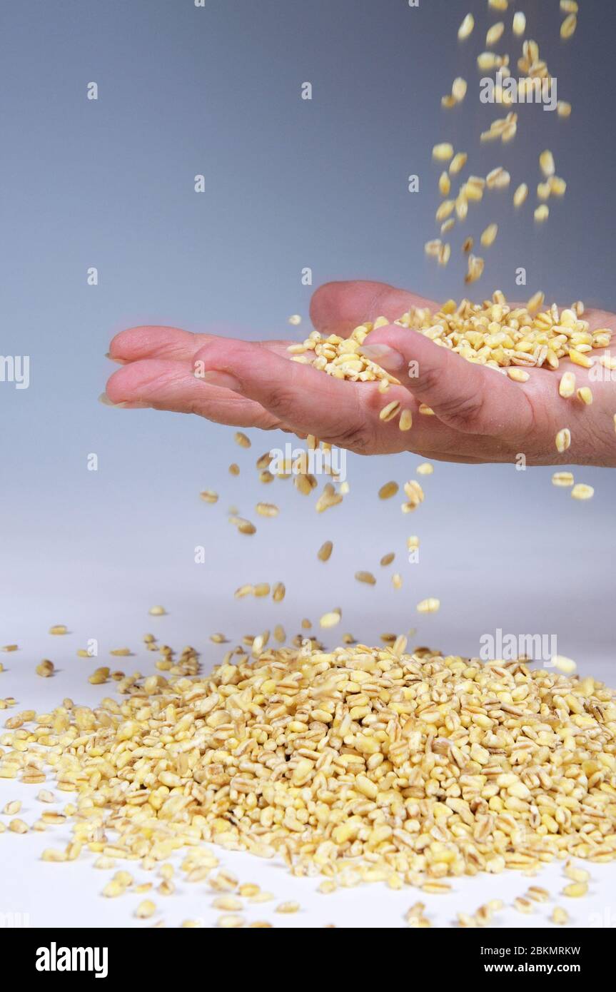 Grains entiers de blé dur tombant à la main, Costa del sol, province de Malaga, Andalousie, Espagne, Europe. Banque D'Images