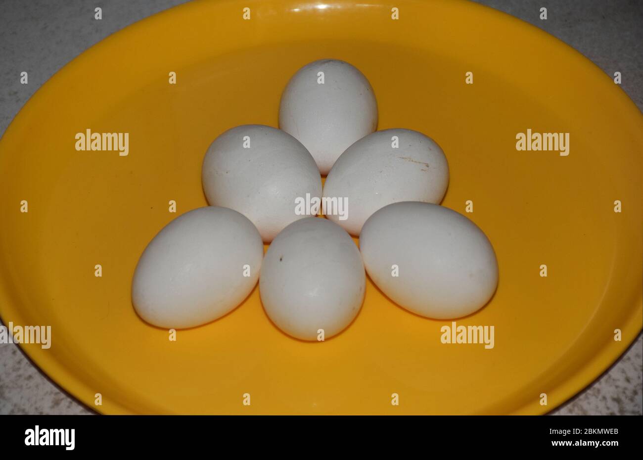 Gros plan d'une demi-douzaine d'œufs de volaille blanche de Hen Banque D'Images