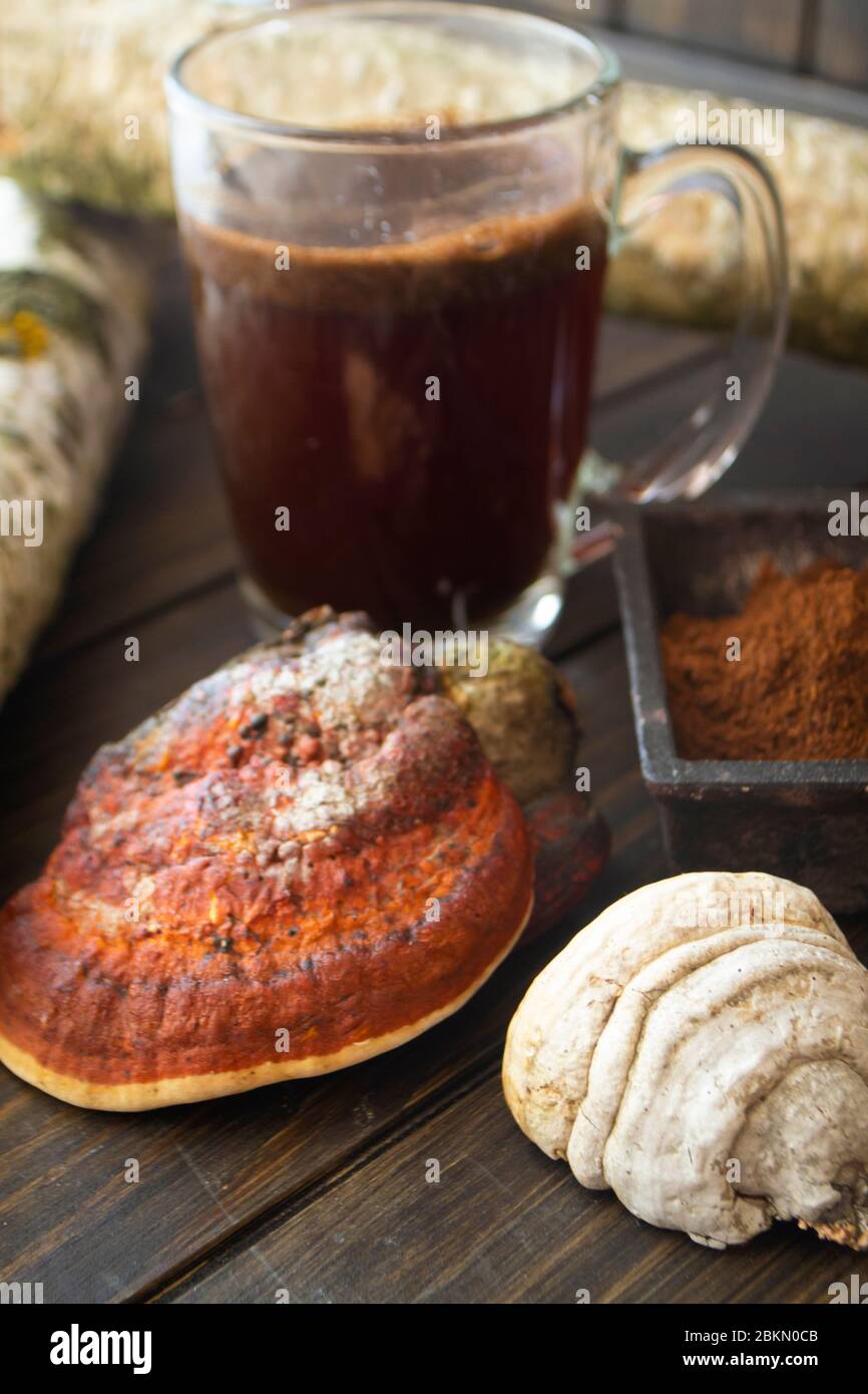 Café curatif à partir de chaga de champignons de bouleau et de polypore, utilisé en médecine populaire. Image verticale Banque D'Images