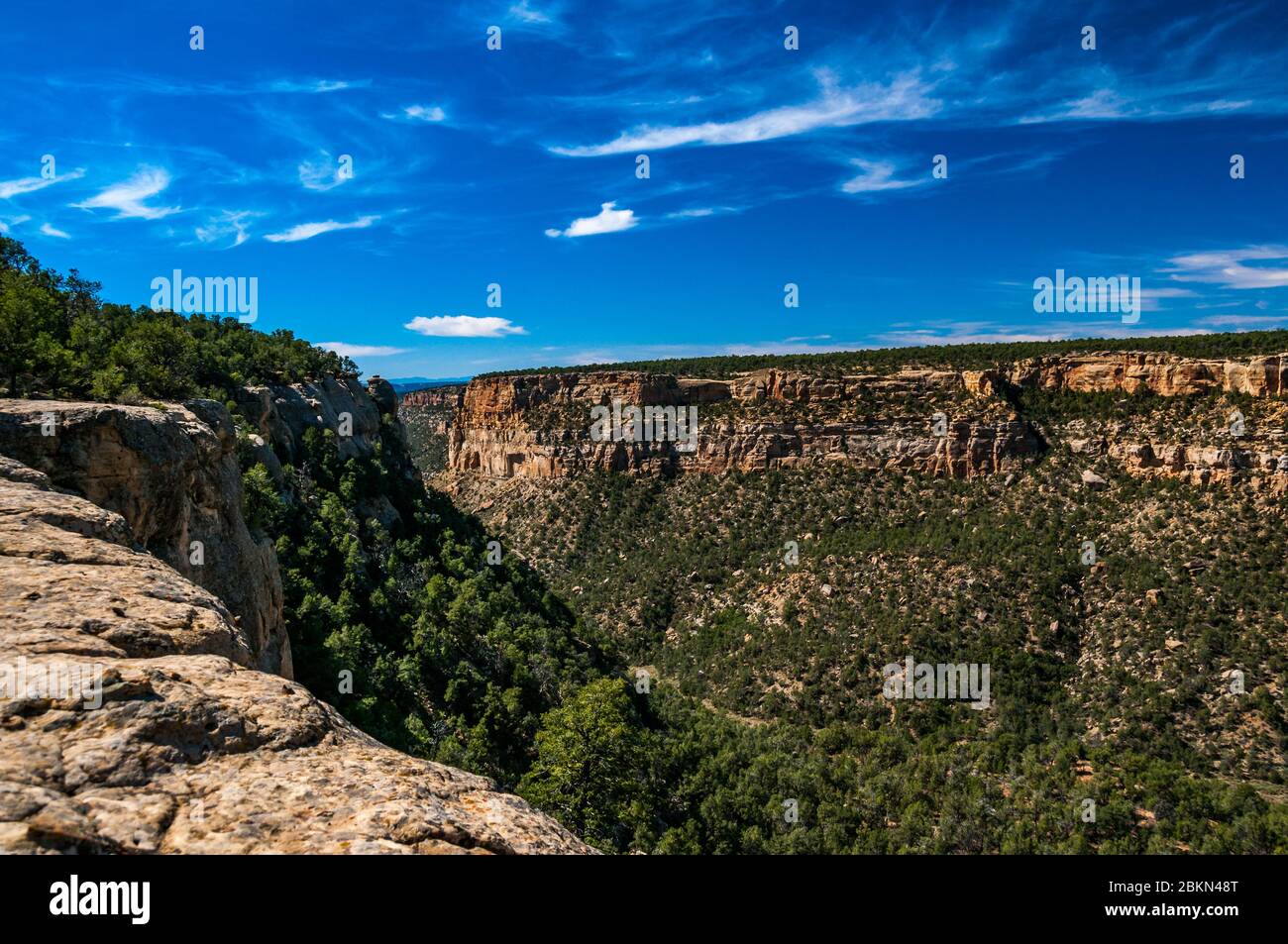 Haut de la mesa de Canyon de l'épinette sur le sentier en boucle de pétroglyphes, Mesa Verde National Park, Colorado, USA. Banque D'Images