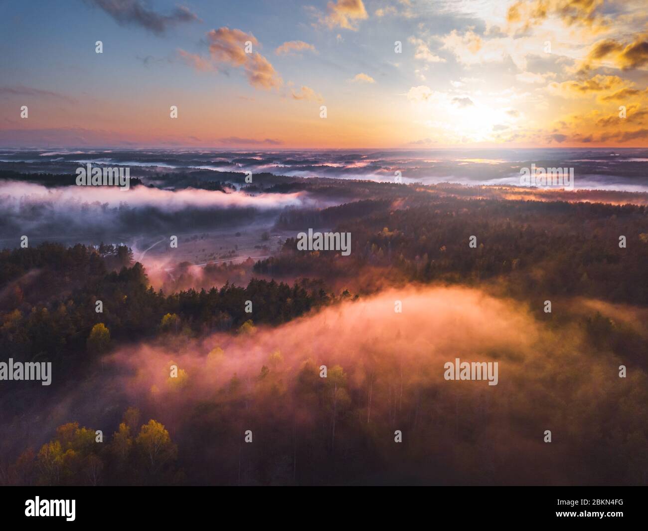 Brouillard et brouillard couvrant la forêt en Lituanie Banque D'Images