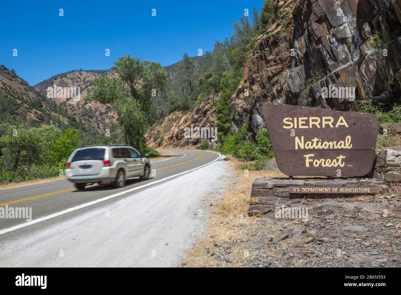 Vue du panneau de la forêt nationale de Sierra sur la Highway 140, Californie, États-Unis d'Amérique, Amérique du Nord Banque D'Images