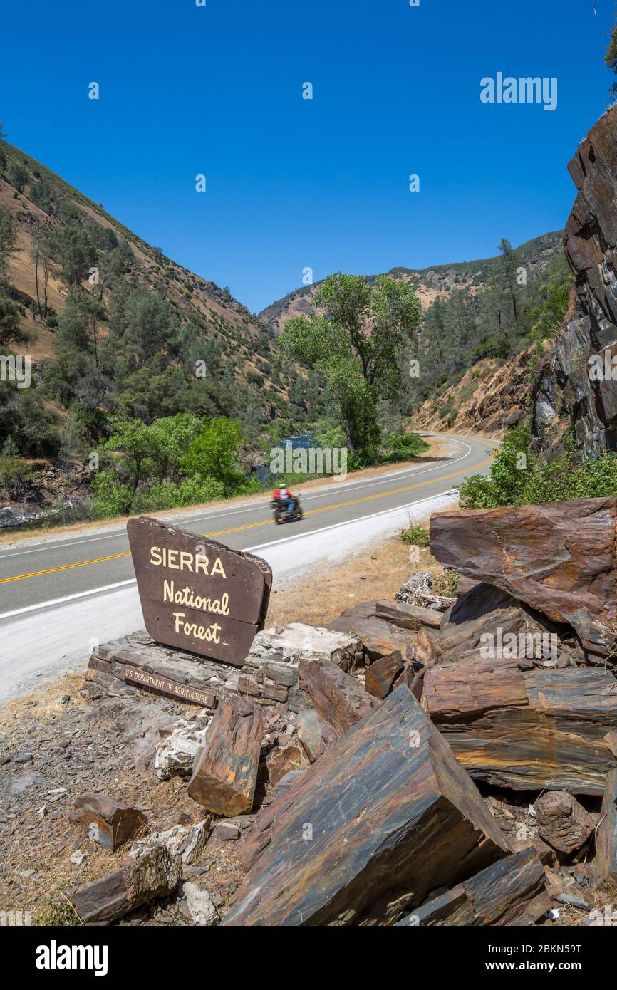 Vue du panneau de la forêt nationale de Sierra sur la Highway 140, Californie, États-Unis d'Amérique, Amérique du Nord Banque D'Images