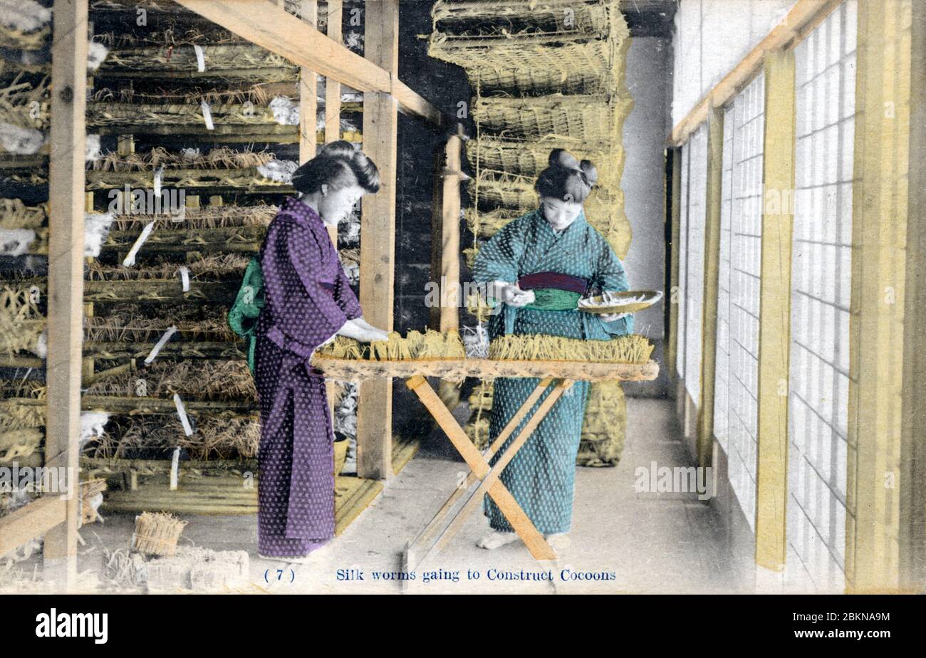 1910s Japon - Japanese Silk Farming ] — deux femmes propagent des vers à  soie matures sur des lits préparés où elles mûrissent en cocons. Cette  carte postale est issue d'une