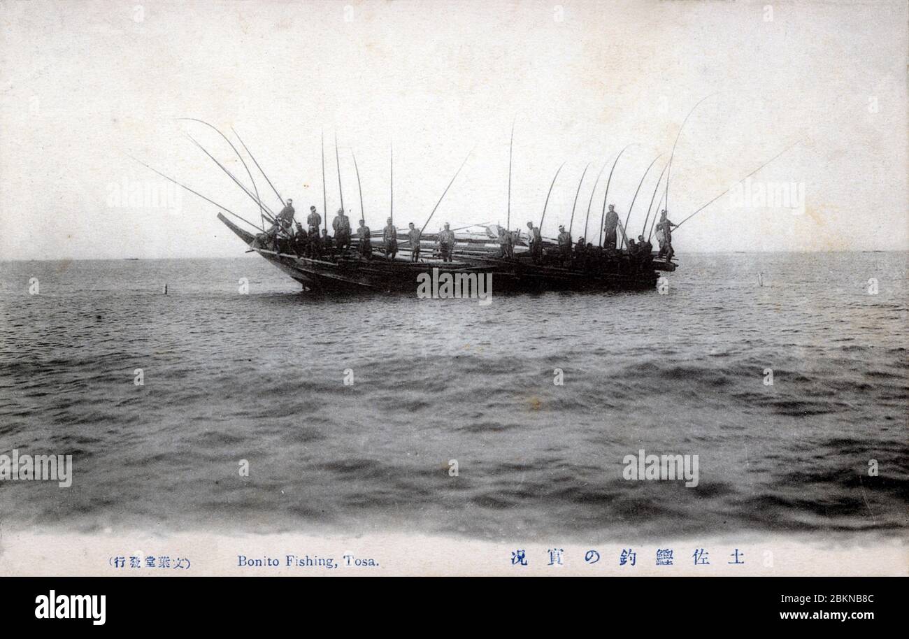[ 1900s Japon - pêcheurs japonais au travail ] — Bonito pêche au large de la côte de la préfecture de Kochi sur l'île de Shikoku. carte postale vintage du xxe siècle. Banque D'Images