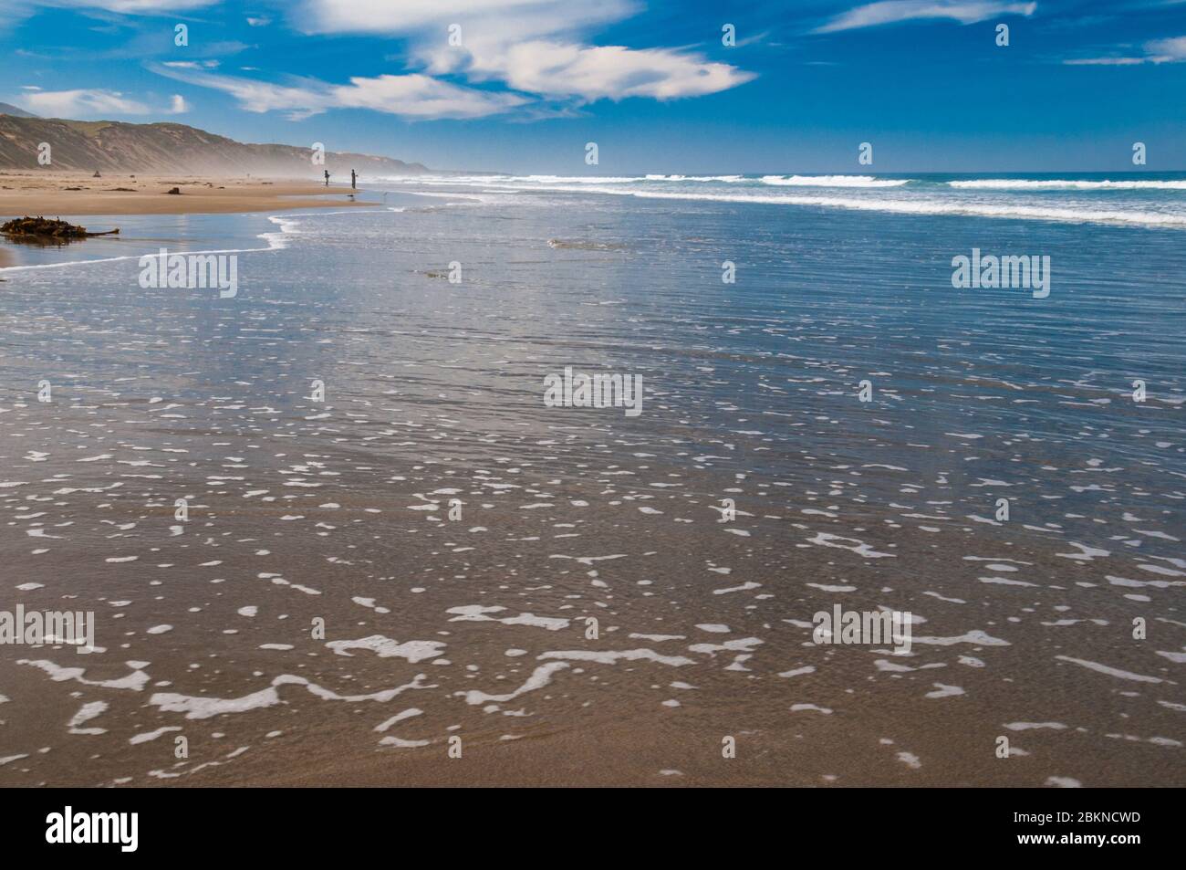 Matin à Sandspit Beach au Montaña de Oro State Park, Los Osos, Californie, USA. Banque D'Images