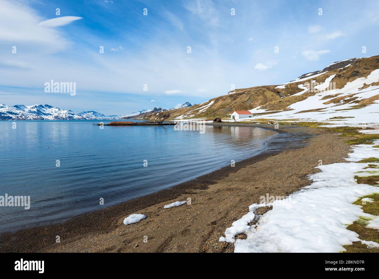 Crique du Roi Edward Beach sous la neige, ancienne station de chasse à la baleine de Grytviken, Géorgie du Sud, Géorgie du Sud et îles Sandwich, Antarctique Banque D'Images