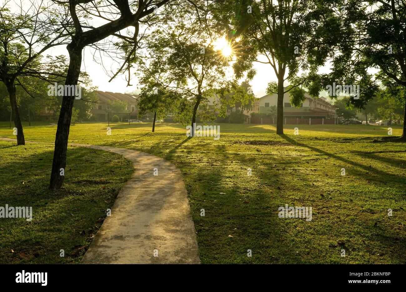 Magnifique parc vert avec arbres et piste de jogging. Rayons du soleil et éruptions. Arrière-plan nature. Banque D'Images