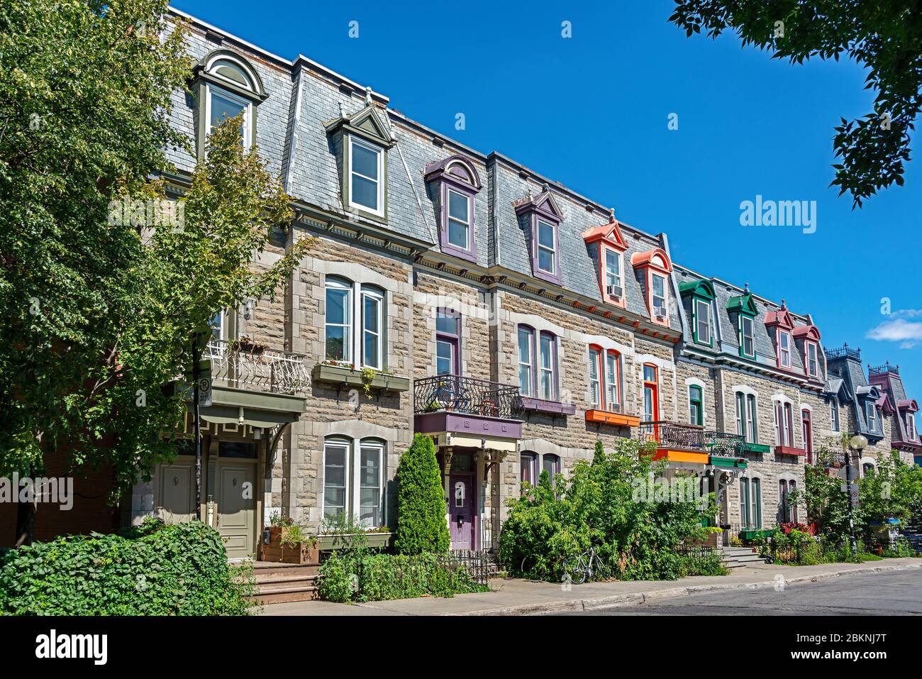 Maisons victoriennes colorées dans le plateau de l'arrondissement Mont-Royal à Montréal, Québec Banque D'Images