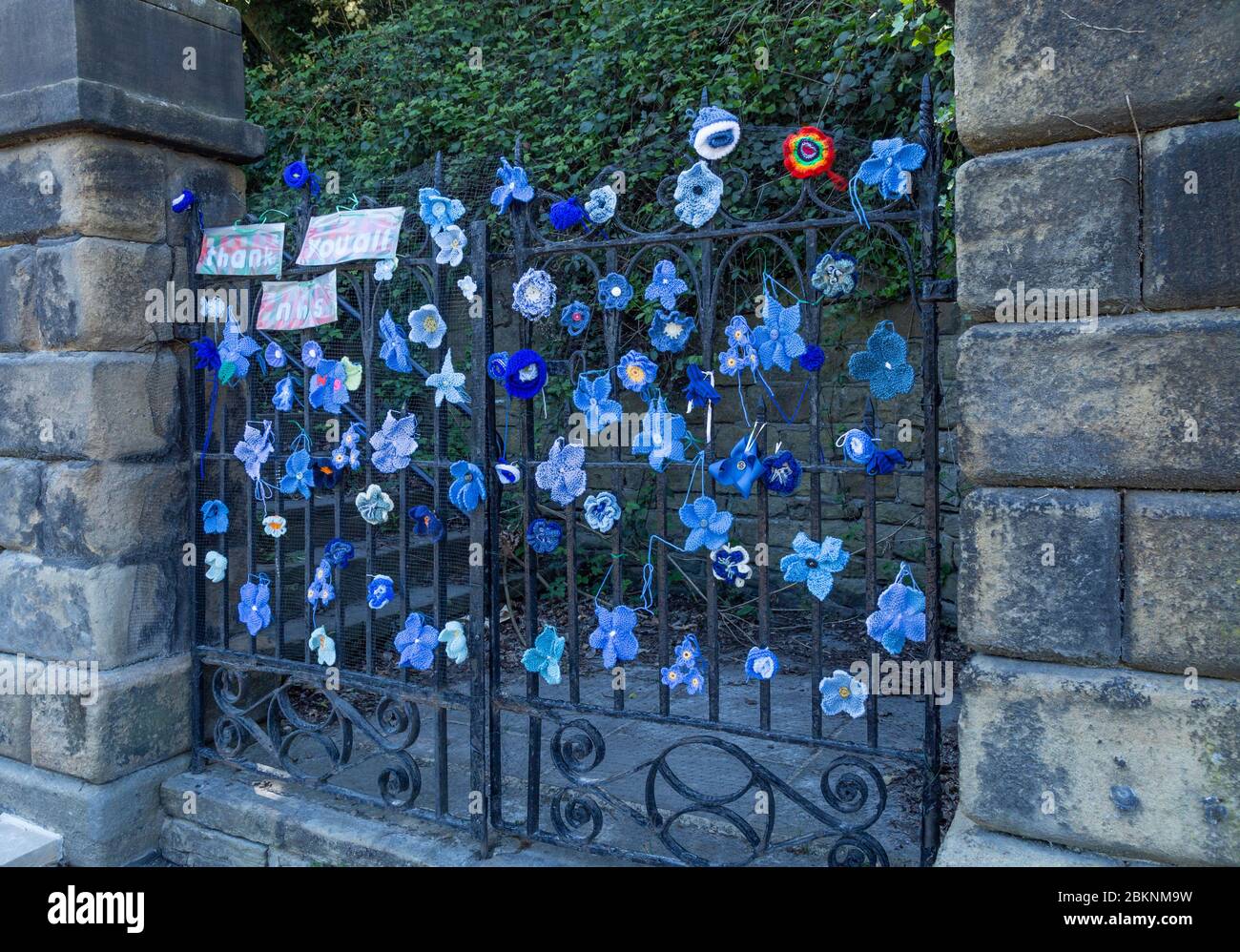 Une porte d'église à Baildon, dans le Yorkshire décorée de fleurs en tricot bleu et crochetées à l'appui du NHS pendant la pandémie du coronavirus. Banque D'Images