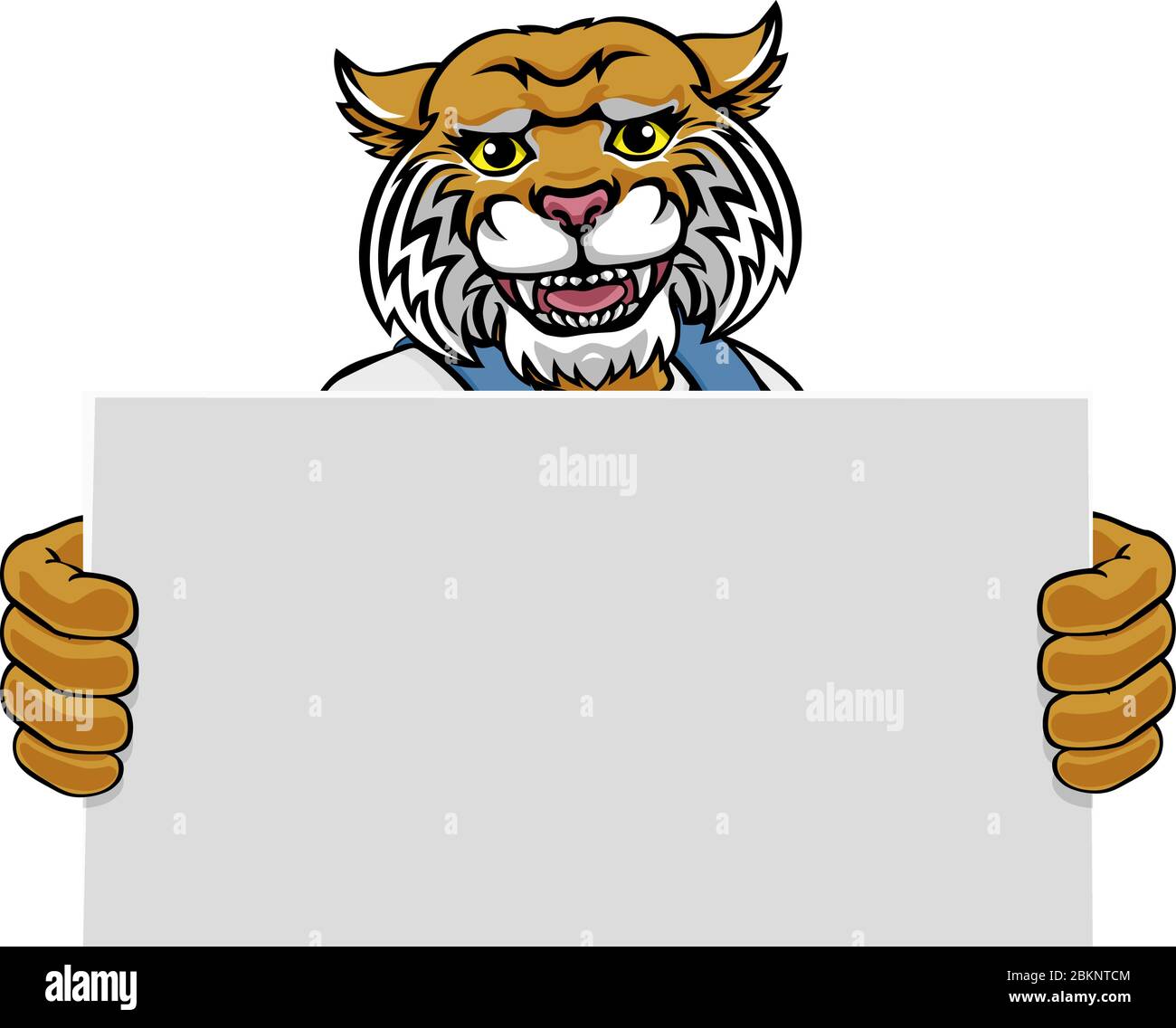 Wildcat Cartoon Mascot Handy Sign Illustration de Vecteur