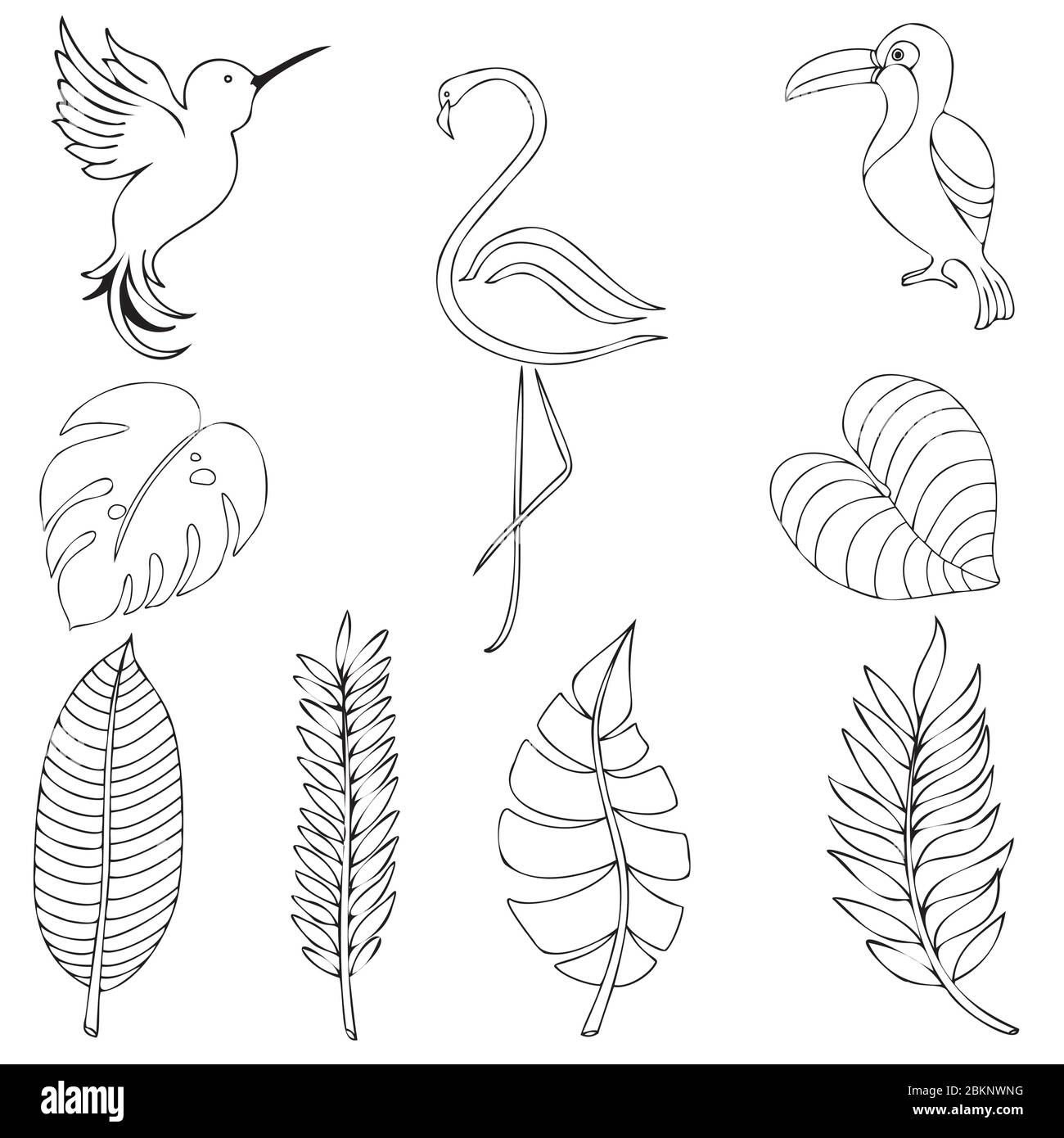 décor tropical avec feuilles et oiseaux, illustration d'un plan simple d'un ooyle exotique Illustration de Vecteur