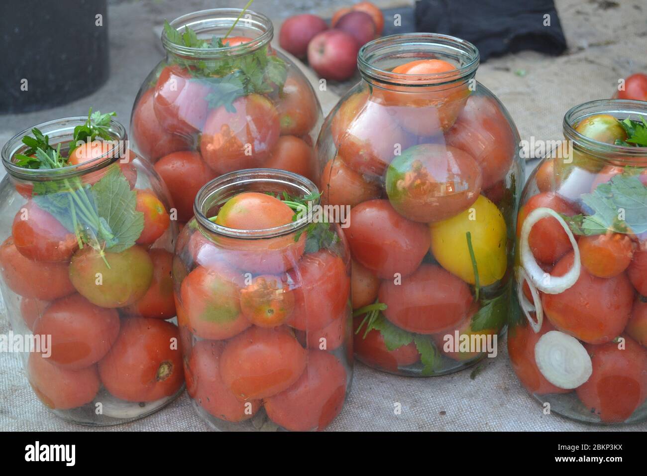 Plats faits maison. Produits naturels du jardin. Village, gîte, ferme, cave. Savoureux. Conservation. Des blancs pour l'hiver. Mariné. Rouge et jaune Banque D'Images